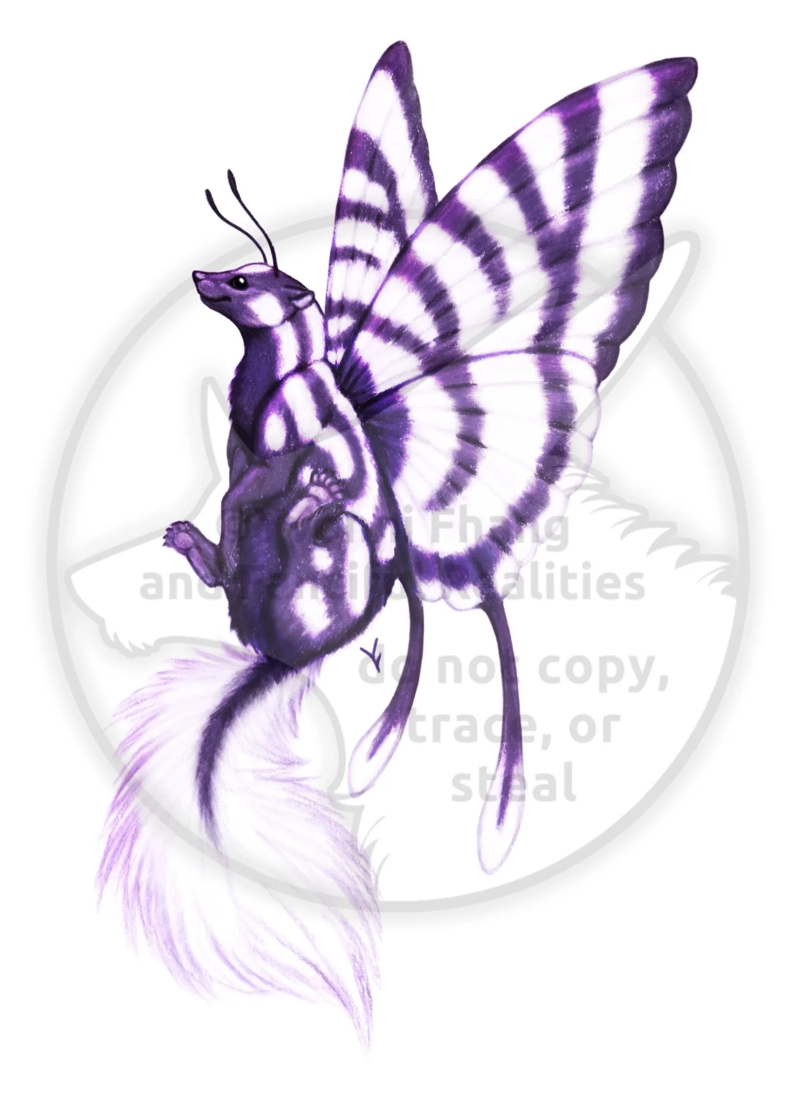 A purple and white butterfly mixed with a cute striped skunk!