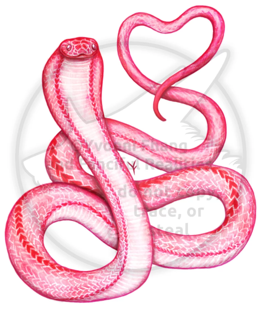 A cute Valentine pink cobra snake with heart-shaped scales!