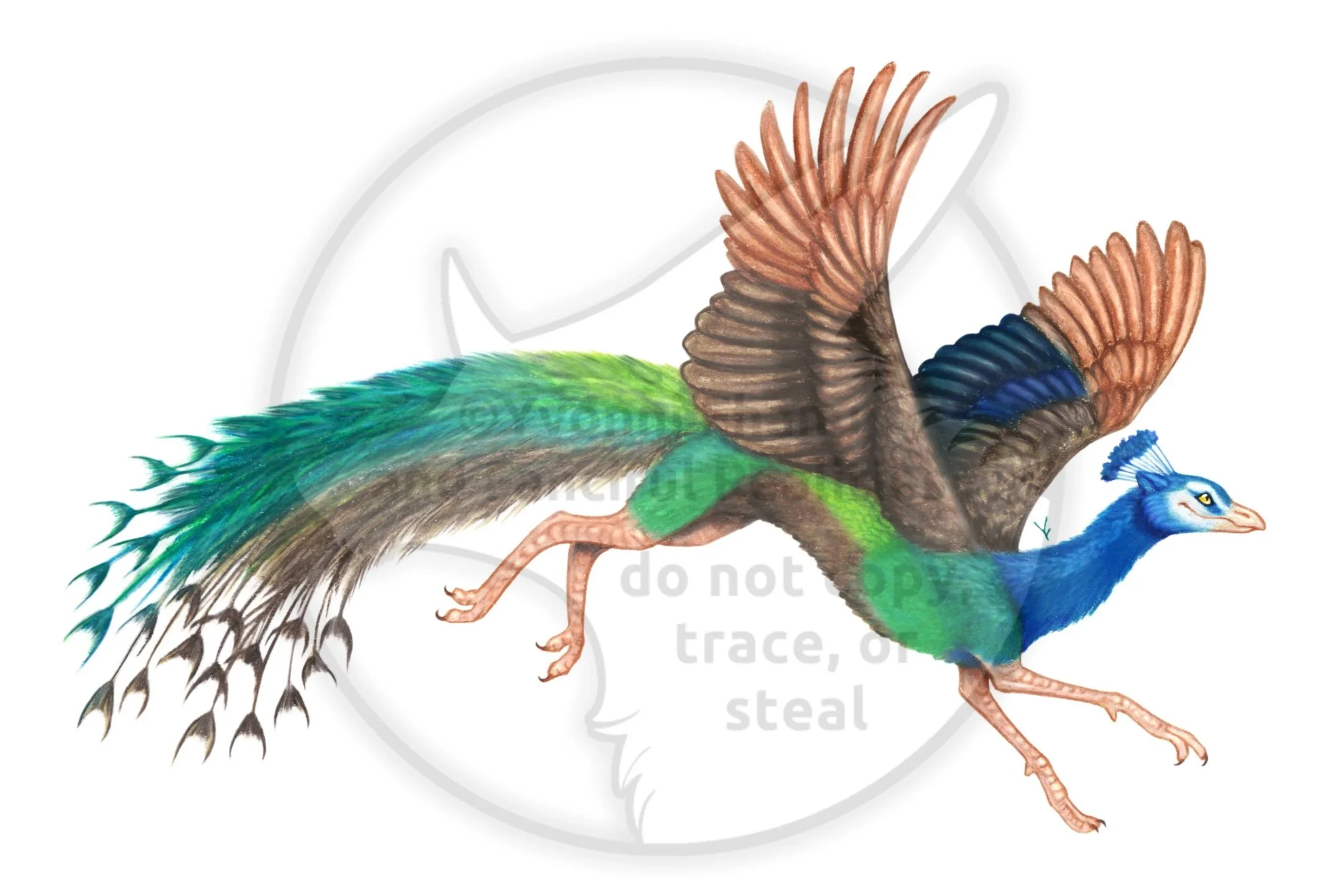 A pretty dragon creature based on a colorful peacock bird.