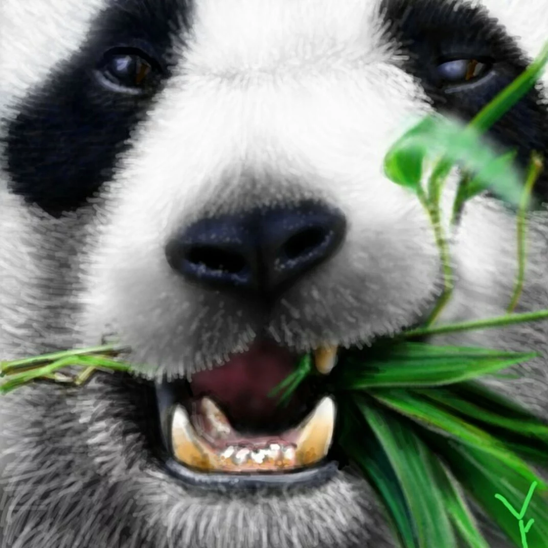 Panda Realism