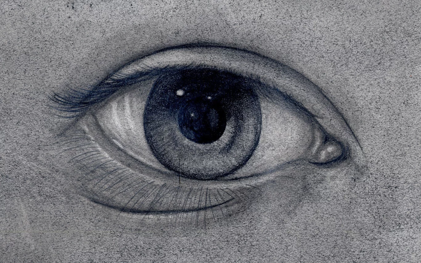 graphite eye study