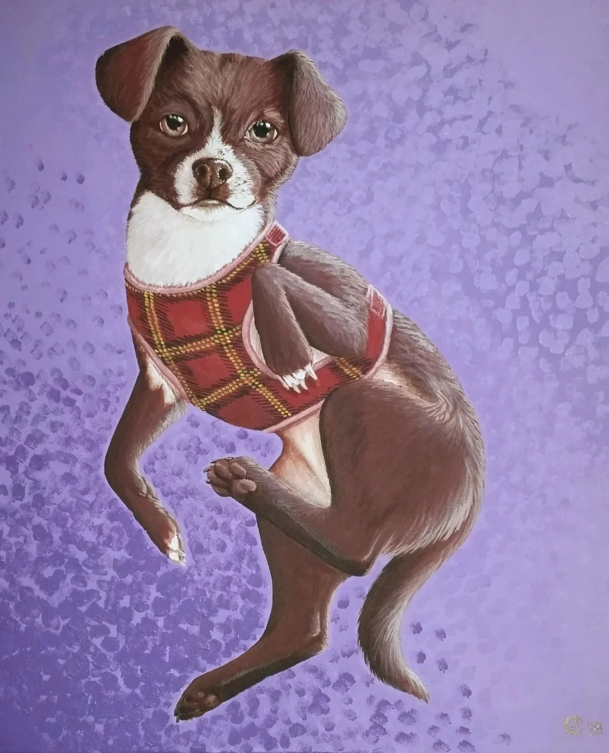 Elsie, acrylic pet portrait