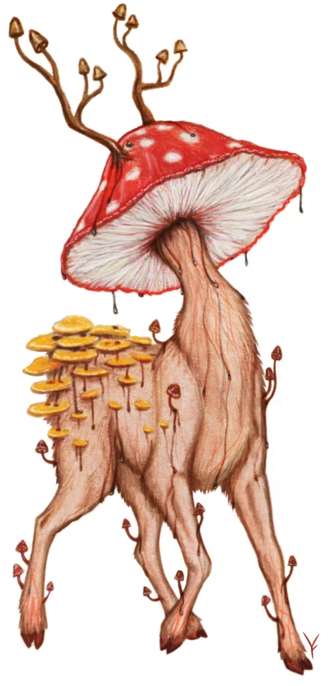 Mushroom Deer